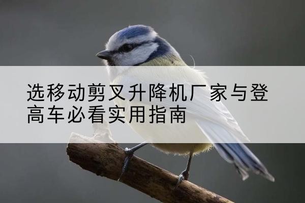 鹰潭电动升降机厂家-选移动剪叉升降机厂家与登高车必看实用指南