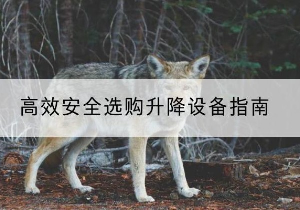 鹰潭升降货梯厂家推荐-*安全选购升降设备指南