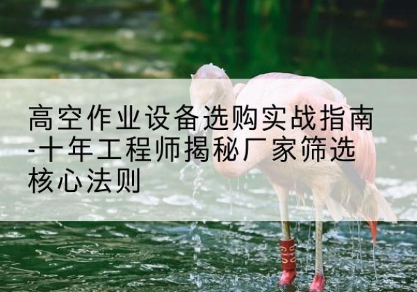 鹰潭剪叉式升降机厂家-高空作业设备选购实战指南-十年工程师揭秘厂家筛选核心法则